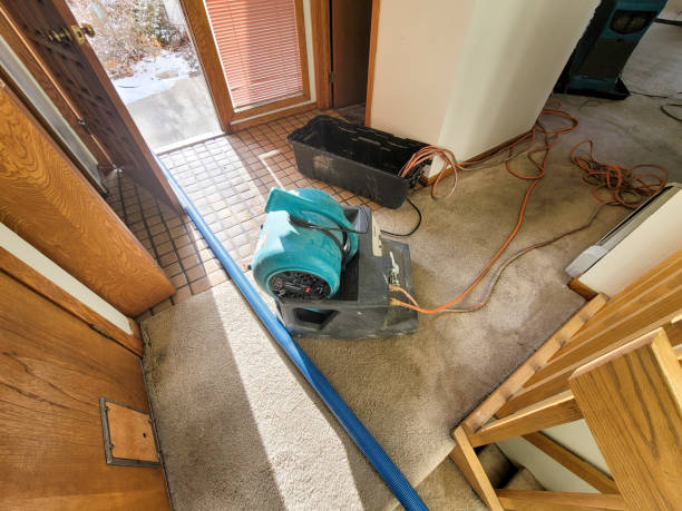 Trusted Water Damage Restoration in Penngrove, CA | Fast, Reliable, and Ready to Assist You